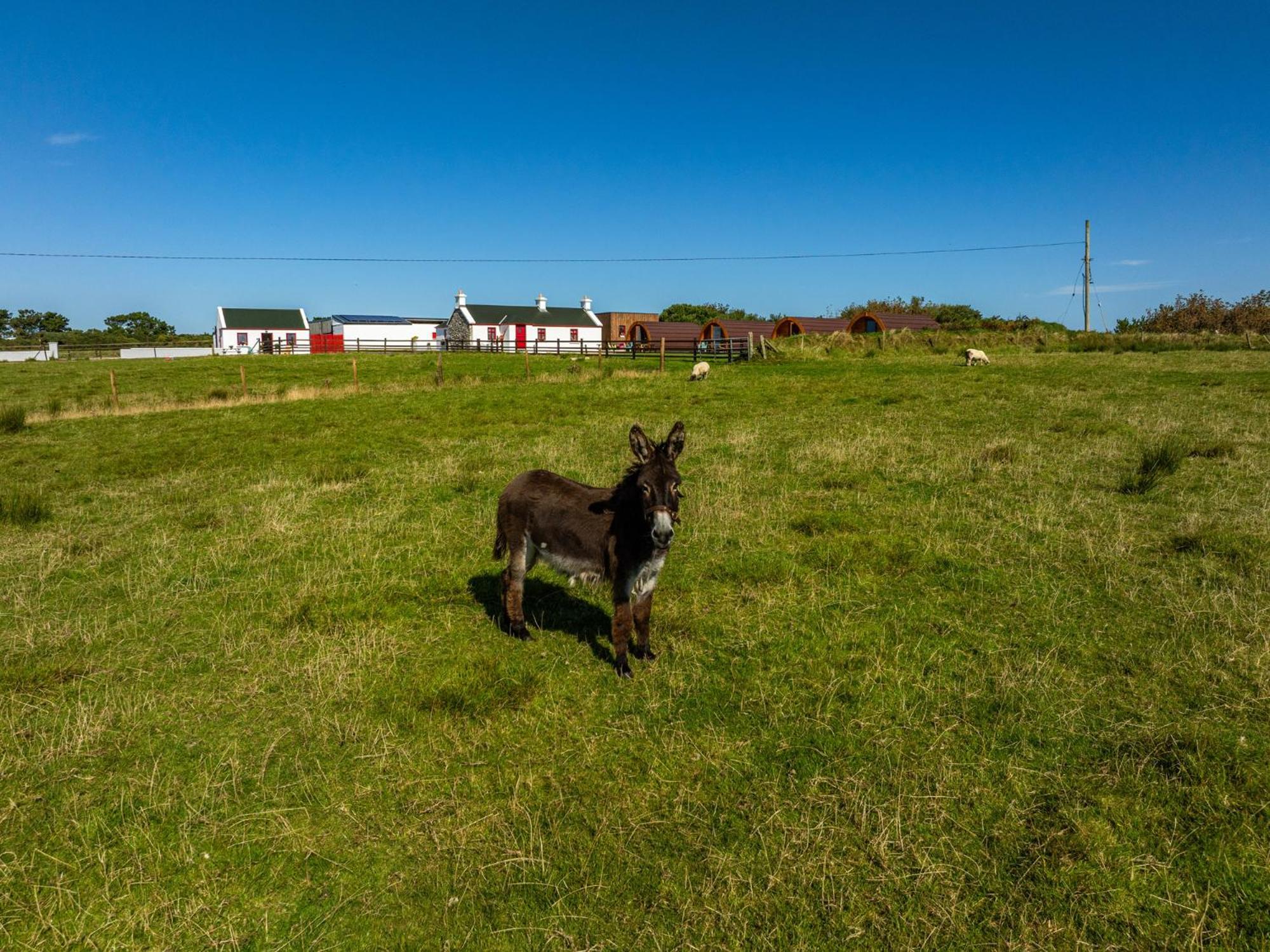 Geraghtys Farmyard Pods Ξενοδοχείο Belmullet Εξωτερικό φωτογραφία